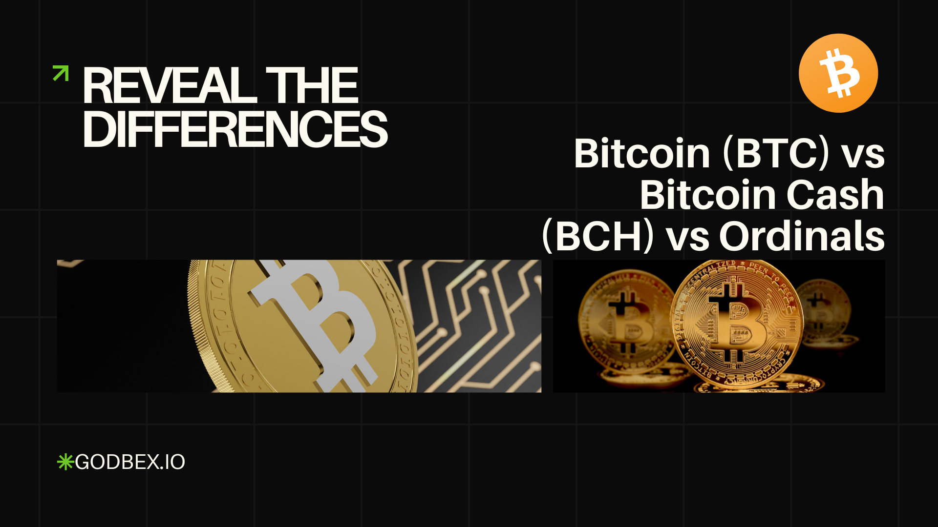 Reveal The Differences: Bitcoin (BTC) vs Bitcoin Cash (BCH) vs Ordinals