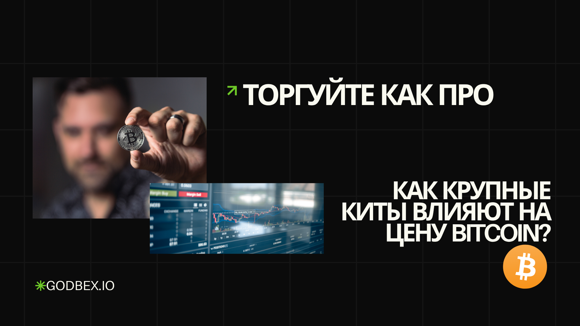 Торгуйте как про: Как крупные киты влияют на цену Bitcoin?